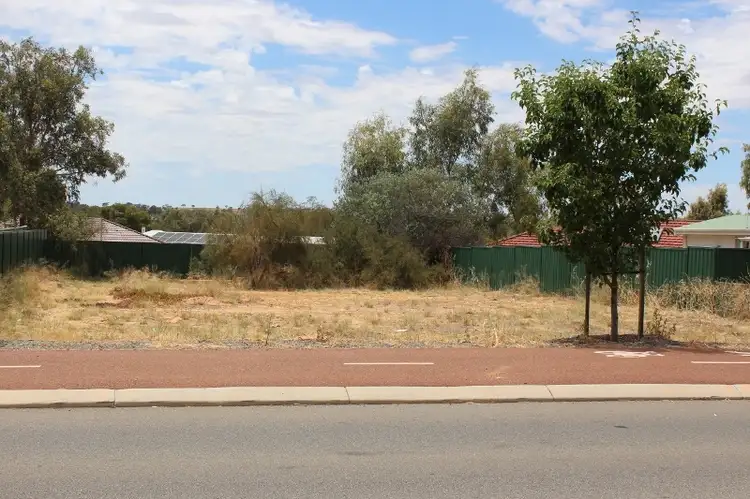 49 Mitchell Avenue, Northam WA 6401
