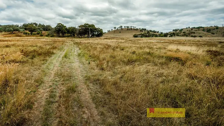 Fifth view of Homely rural property listing, 724 Castlereagh Highway, Mudgee NSW 2850