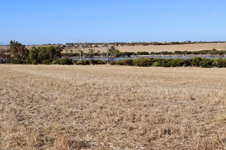 Third view of Homely rural property listing, Weavers North Road, Ramsay SA 5575