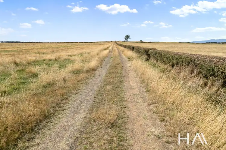 Sixth view of Homely rural property listing, 340 Green Rises Road, Cressy TAS 7302