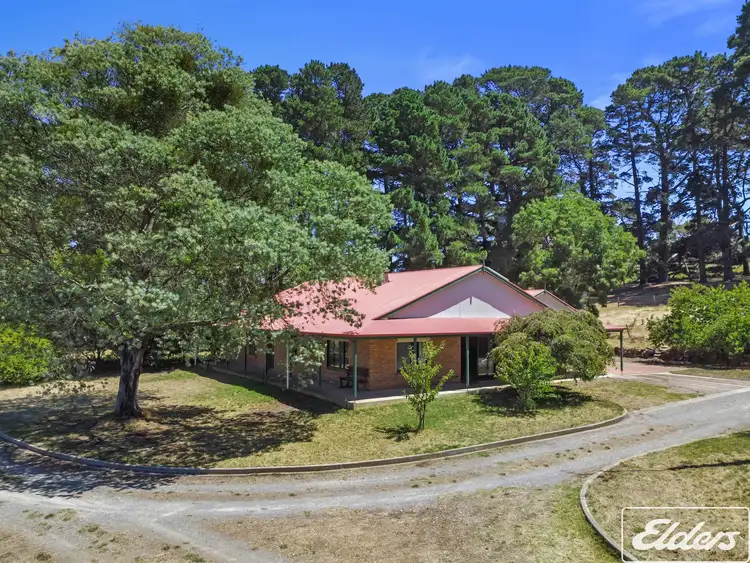 Fourth view of Homely rural property listing, 187 Yundi Road, Yundi SA 5172