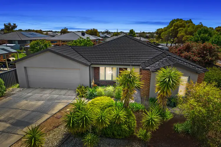 Main view of Homely house listing, 69 Greenfield Drive, Epsom VIC 3551