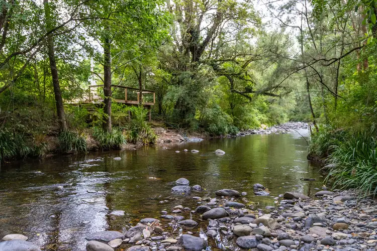 Second view of Homely rural property listing, 2441 Salisbury Road, Dungog NSW 2420