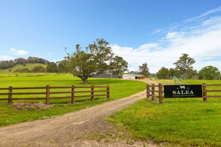 Fourth view of Homely rural property listing, 2441 Salisbury Road, Dungog NSW 2420