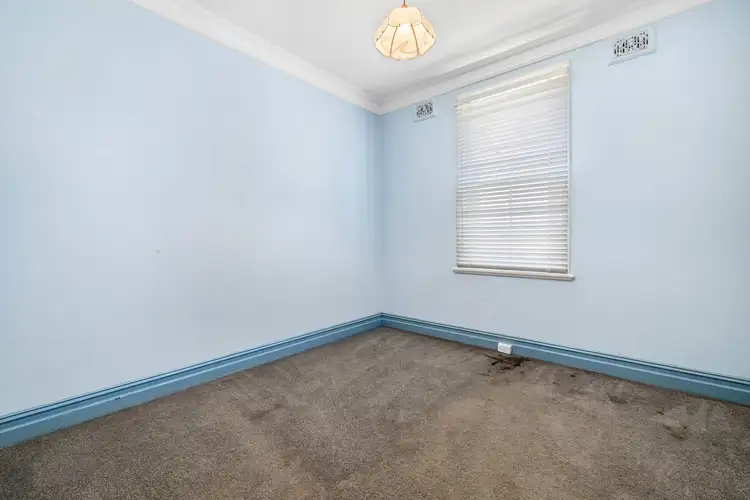 Third view of Homely semi-detached listing, 19 Lucy Street, Ashfield NSW 2131