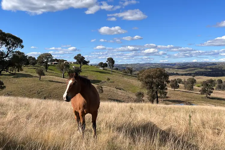 Second view of Homely rural property listing, 88 Old Wheeo Road, Taylors Flat NSW 2586