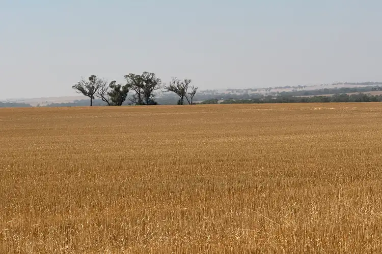 Sixth view of Homely rural property listing, Lot 10 Hills Road, Cunderdin WA 6407