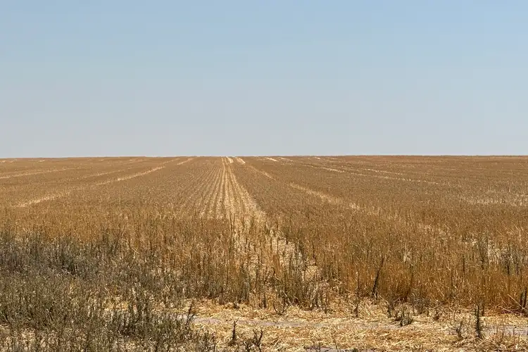 Seventh view of Homely rural property listing, Lot 10 Hills Road, Cunderdin WA 6407