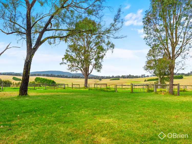 Second view of Homely house listing, 850 Wy Yung-Calulu Road, Calulu VIC 3875