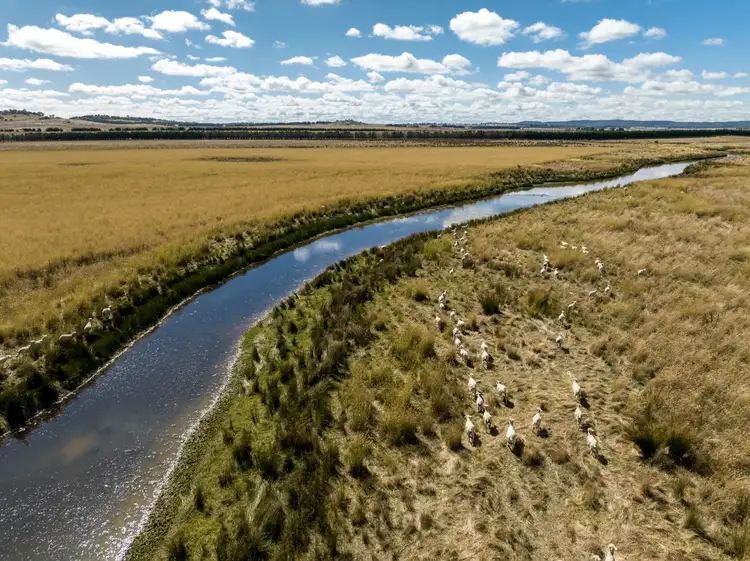 Sixth view of Homely rural property listing, 881 Parkesbourne Road, Goulburn NSW 2580