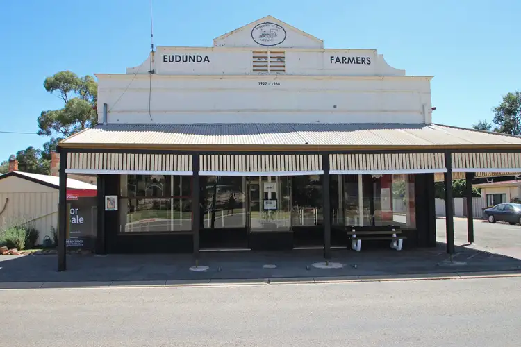 Main view of Homely house listing, 41 Main Street, Brinkworth SA 5464
