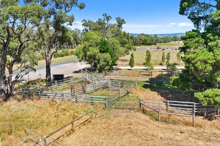 Fifth view of Homely rural property listing, 88F Darnum Shady Creek Road, Darnum VIC 3822
