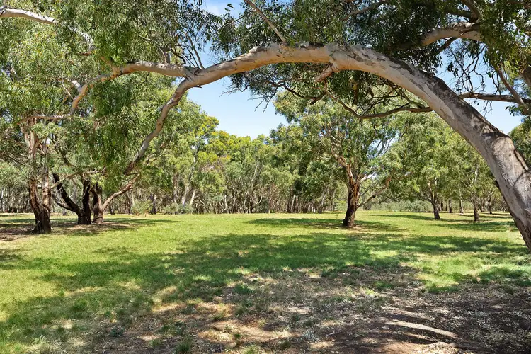 Third view of Homely rural property listing, Lot 248/19 Vigneron Avenue, Batesford VIC 3213