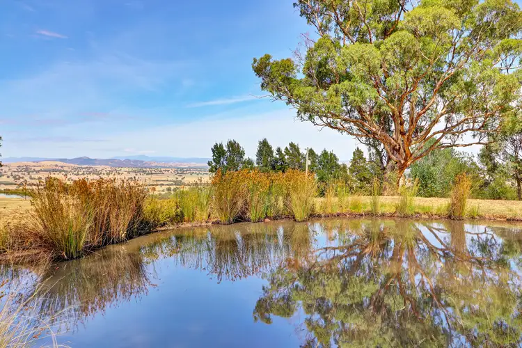 Sixth view of Homely rural property listing, 350 Tabletop Road, Bridge Creek VIC 3723