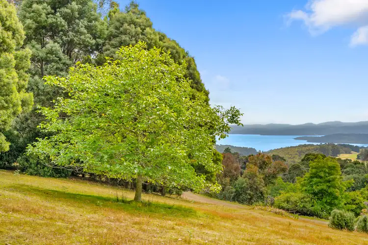 Second view of Homely house listing, 167 Grooms Hill Road, Koonya TAS 7187
