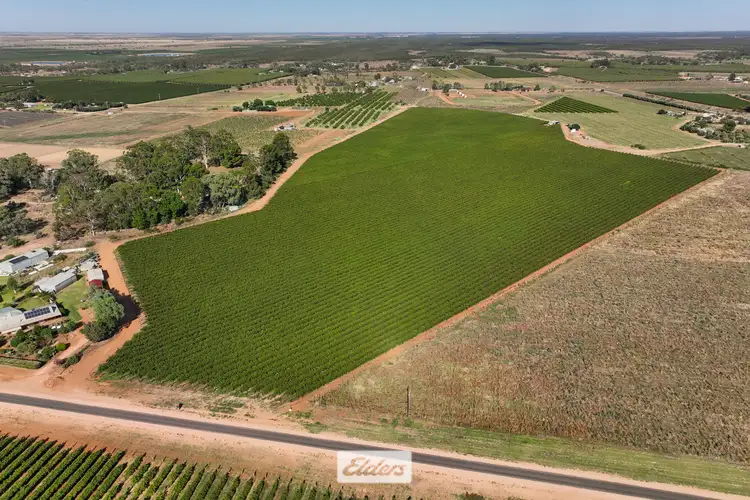 Main view of Homely rural property listing, 2 Coorong Avenue, Red Cliffs VIC 3496