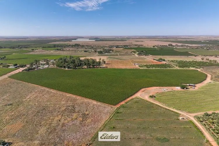 Third view of Homely rural property listing, 2 Coorong Avenue, Red Cliffs VIC 3496