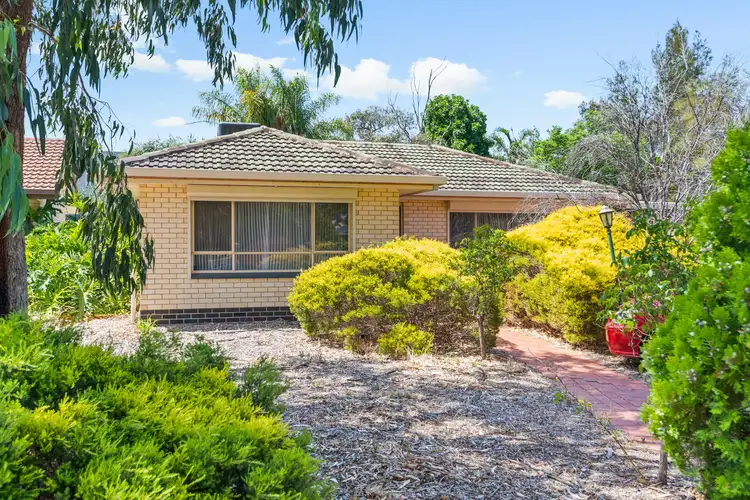 2 Barbara Avenue, Morphett Vale SA 5162