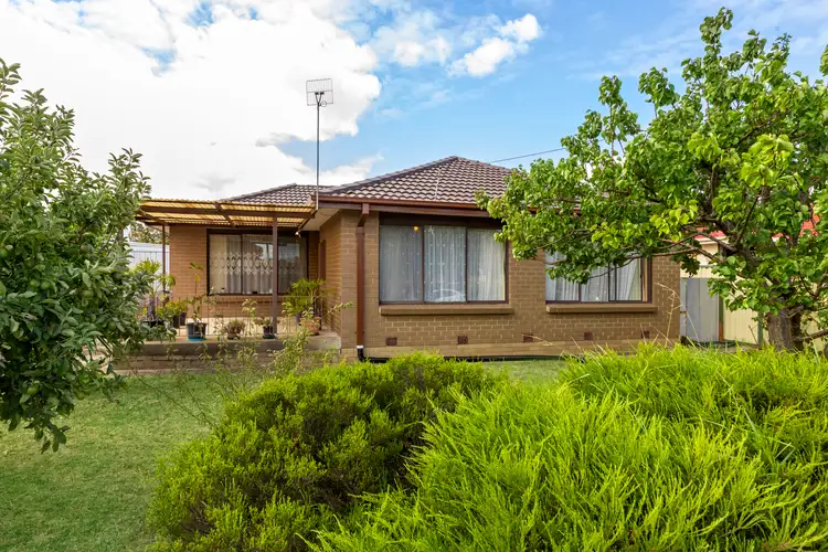 8 Tanglewood Street