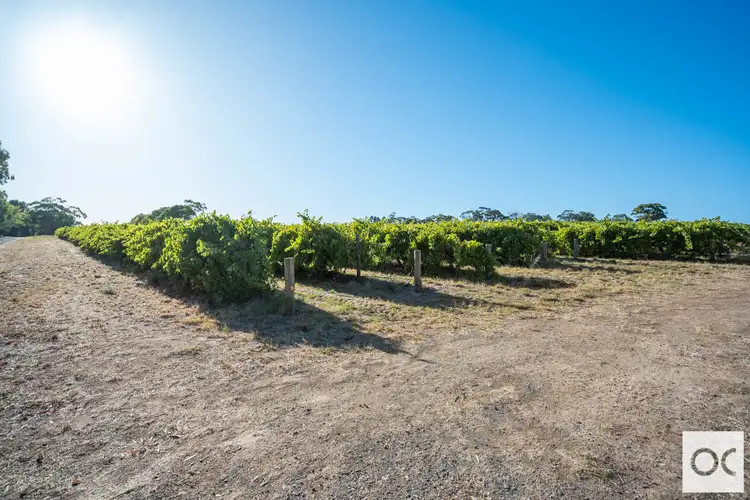 Fourth view of Homely rural property listing, Lot 9 Twentyeight Road, Mclaren Vale SA 5171