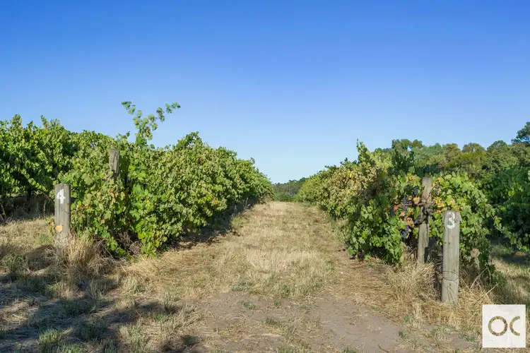 Sixth view of Homely rural property listing, Lot 9 Twentyeight Road, Mclaren Vale SA 5171