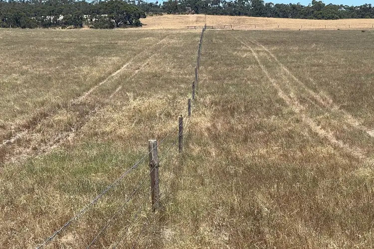1056 Baan Hill Road, Lameroo SA 5302