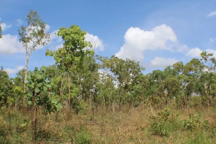 Third view of Homely land listing, 85 Crater Lake Road, Batchelor NT 845