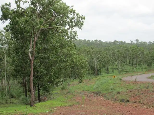 Fourth view of Homely land listing, 85 Crater Lake Road, Batchelor NT 845