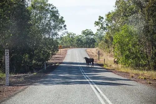 Fifth view of Homely land listing, 85 Crater Lake Road, Batchelor NT 845