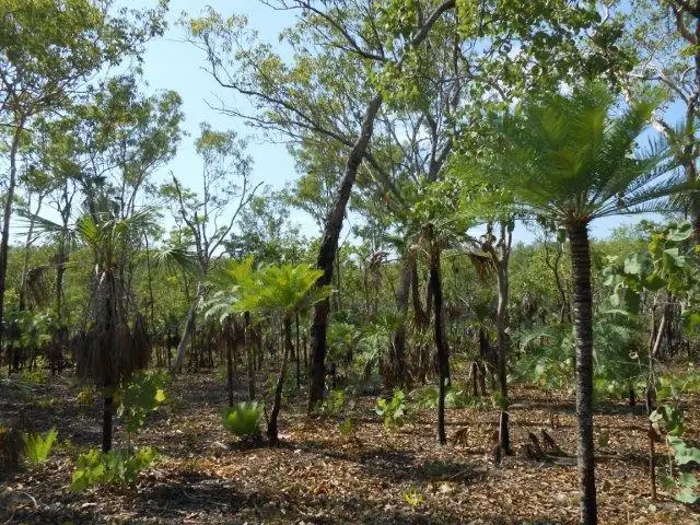 Seventh view of Homely land listing, 85 Crater Lake Road, Batchelor NT 845