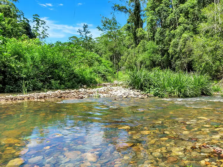 Third view of Homely rural property listing, 368F Dairyville Road, Upper Orara NSW 2450