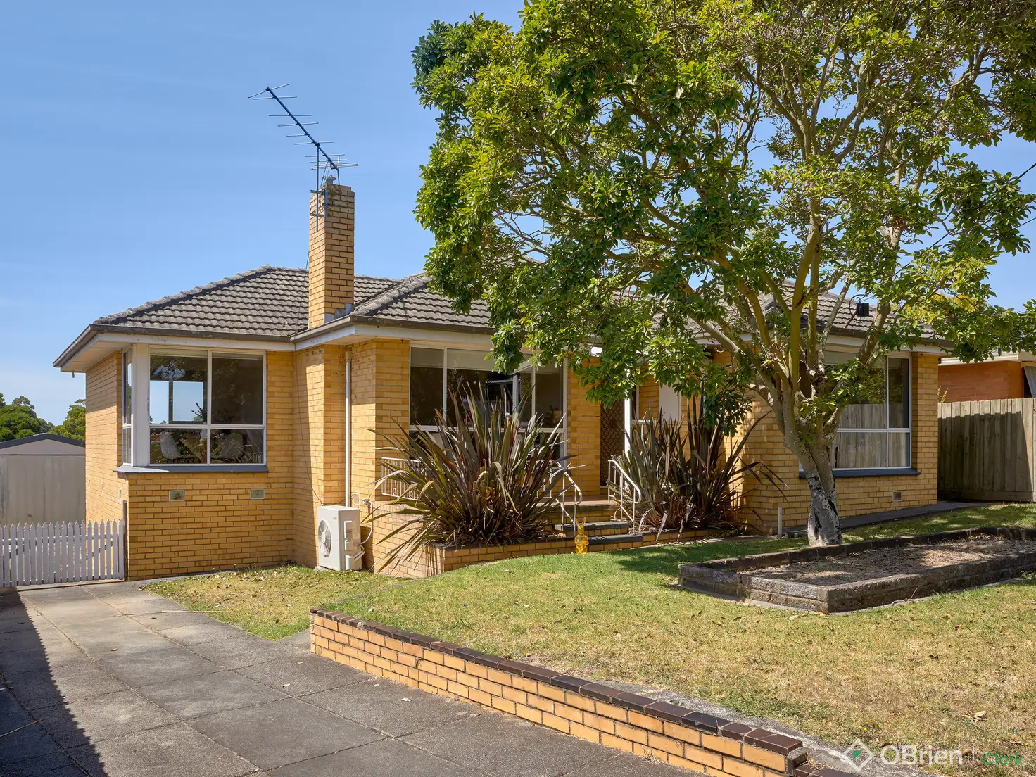 Main view of Homely house listing, 11 Biram Drive, Warragul VIC 3820