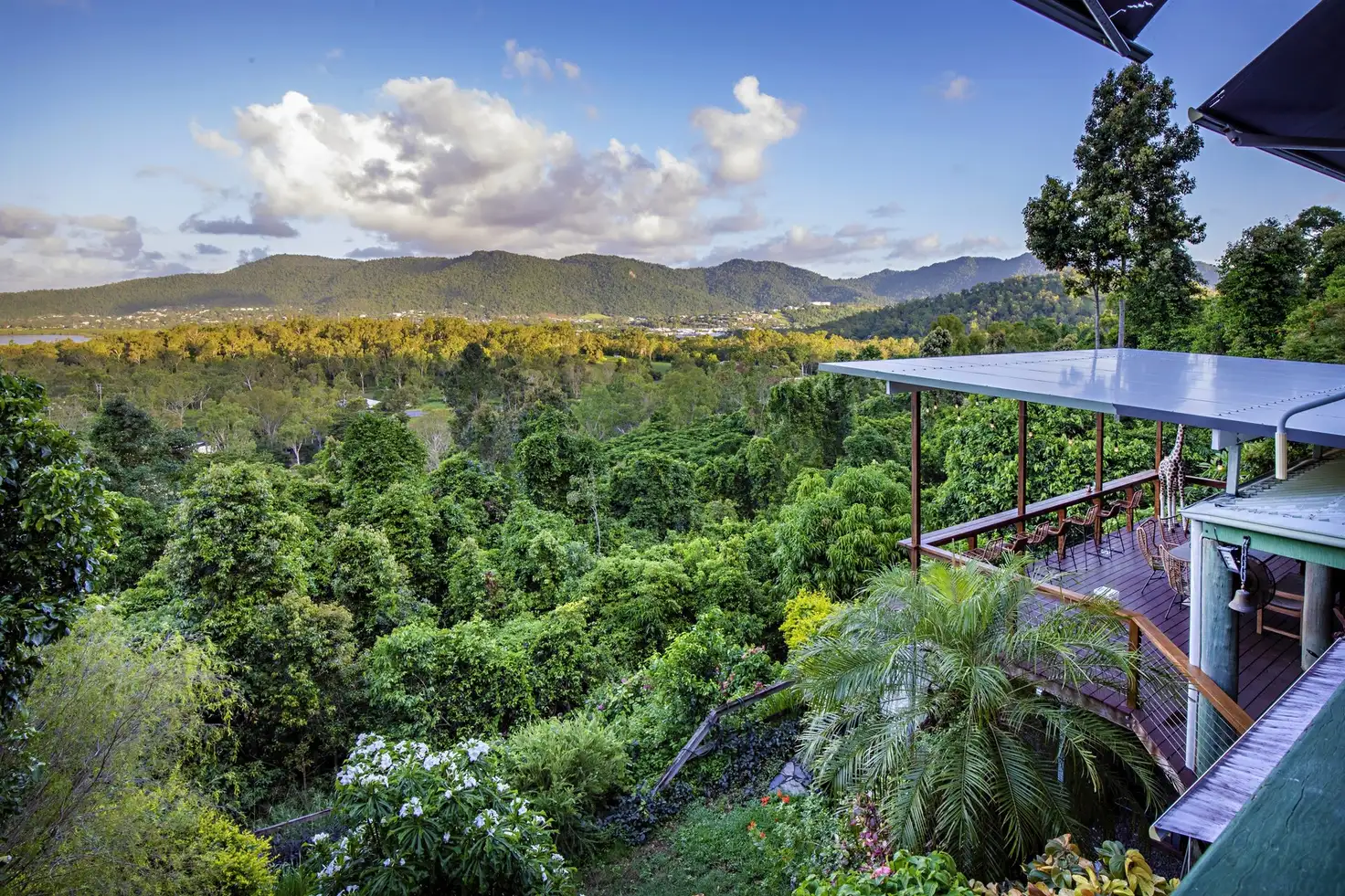 Main view of Homely house listing, 237 Paluma Road, Woodwark QLD 4802