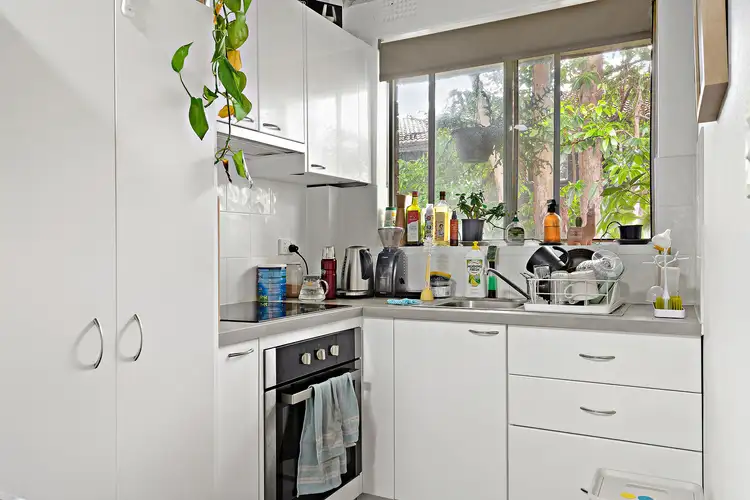 Second view of Homely apartment listing, 8/84 Wyadra Avenue, Freshwater NSW 2096