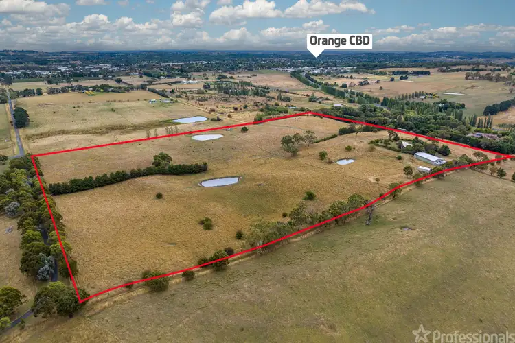 Main view of Homely house listing, 135 Steeles Lane, Orange NSW 2800