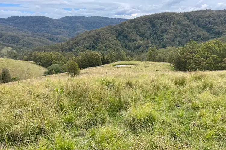 541 Masseys Creek Road, East Gresford NSW 2311