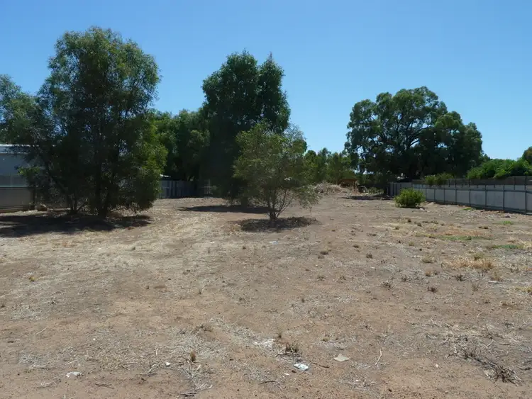 Seventh view of Homely rural property listing, 133 High Street, Charlton VIC 3525