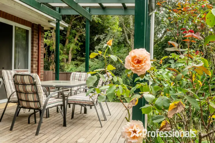 Third view of Homely house listing, 35 River Road, Millgrove VIC 3799