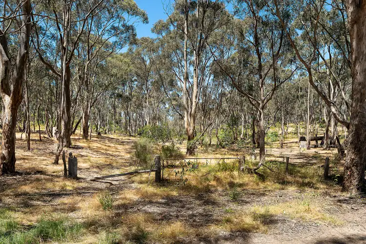 Third view of Homely land listing, 480 Boundary Gully Road, Yandoit Hills VIC 3461