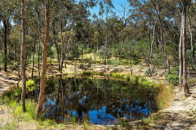 Fifth view of Homely land listing, 480 Boundary Gully Road, Yandoit Hills VIC 3461