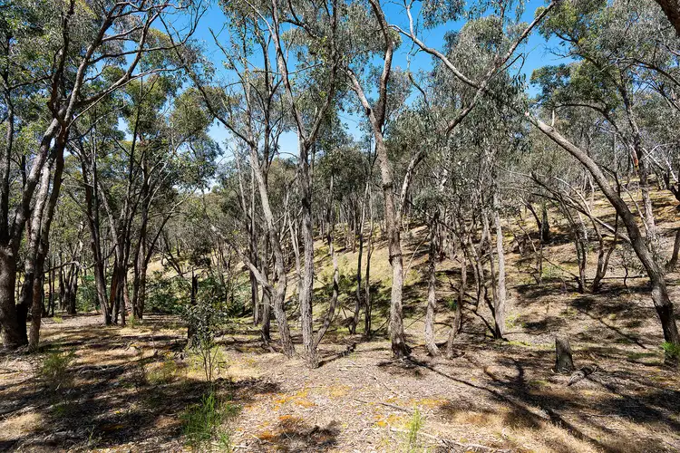 Seventh view of Homely land listing, 480 Boundary Gully Road, Yandoit Hills VIC 3461