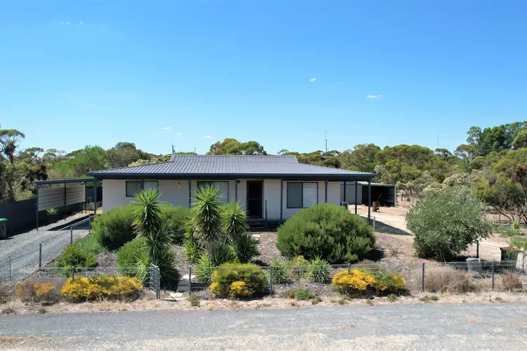 Main view of Homely house listing, 11 Railway Terrace, Peake SA 5301