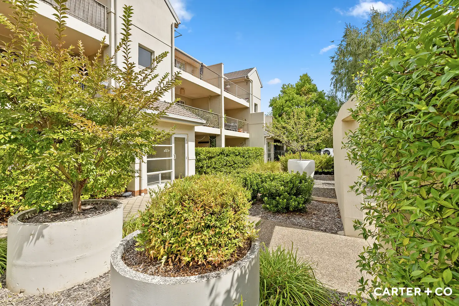 Main view of Homely apartment listing, 22/20 Federal Highway, Watson ACT 2602