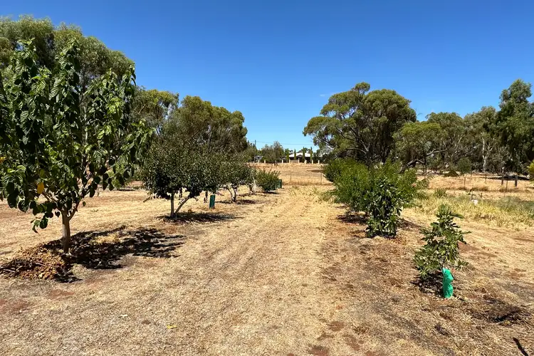 Sixth view of Homely land listing, 6 Cardwell Street, York WA 6302