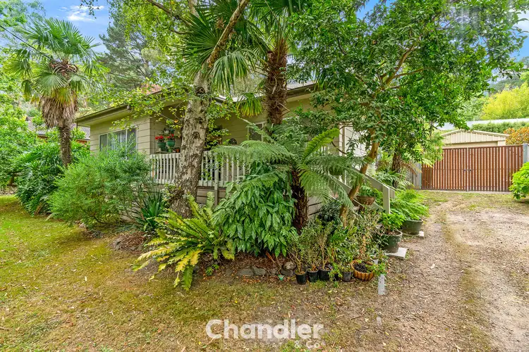 56 Park Drive, Belgrave VIC 3160