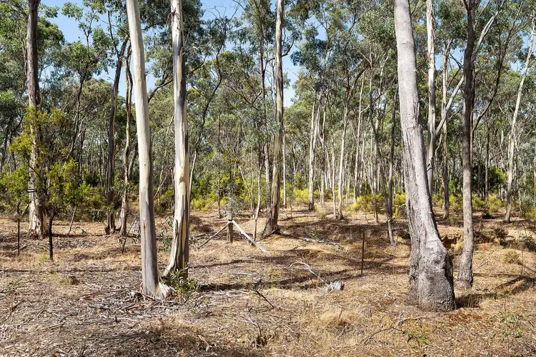 Second view of Homely land listing, 90 Fryers Road, Campbells Creek VIC 3451