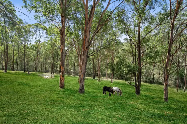 Fourth view of Homely rural property listing, 35 Canning Street, Wollombi NSW 2325