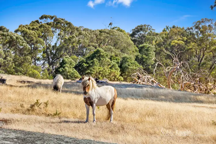 Second view of Homely rural property listing, 85 Granite Hills Road, Highlands VIC 3660