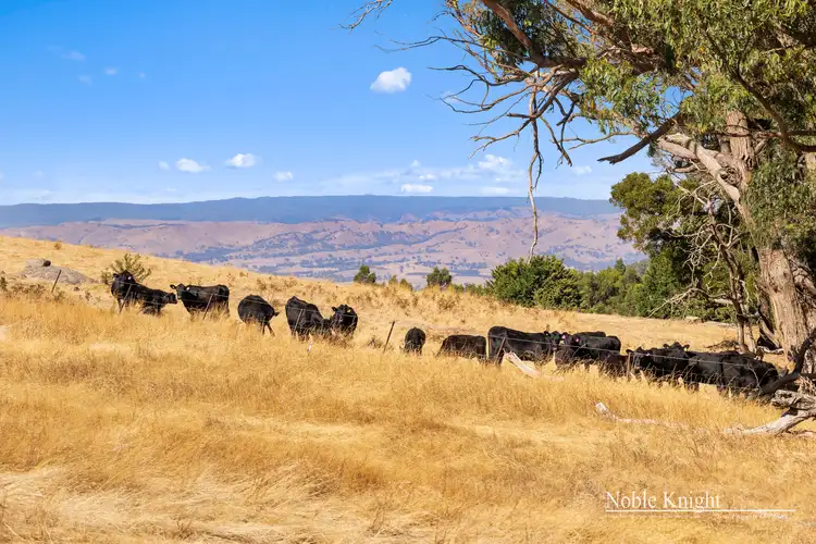 Fourth view of Homely rural property listing, 85 Granite Hills Road, Highlands VIC 3660