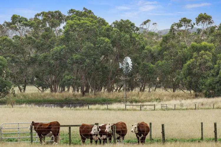 Second view of Homely rural property listing, 40 Axfords Road, Outtrim VIC 3951